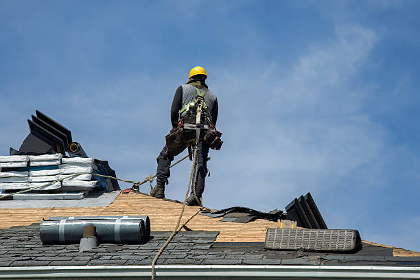 Professional Gutter Installation technician working in Dalton, MN